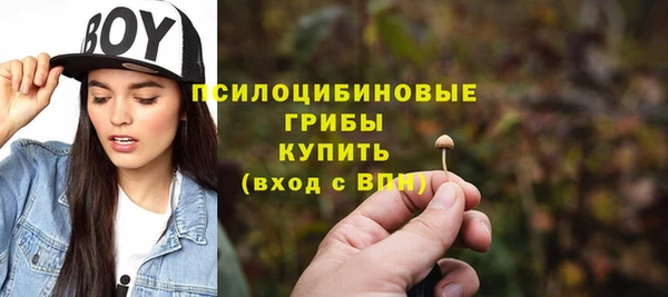 дживик Алексин