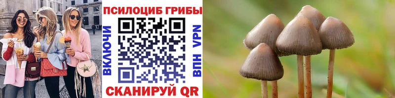 MEGA рабочий сайт  Дмитриев  Галлюциногенные грибы ЛСД  купить наркотики цена 